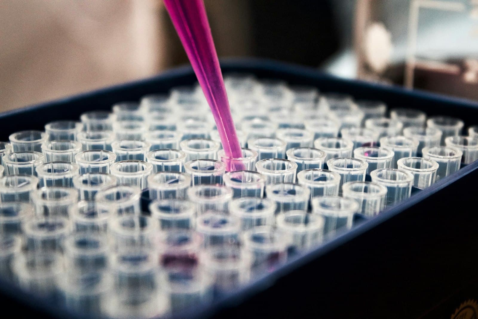 Laboratoire : pipette et rangée d'échantillons