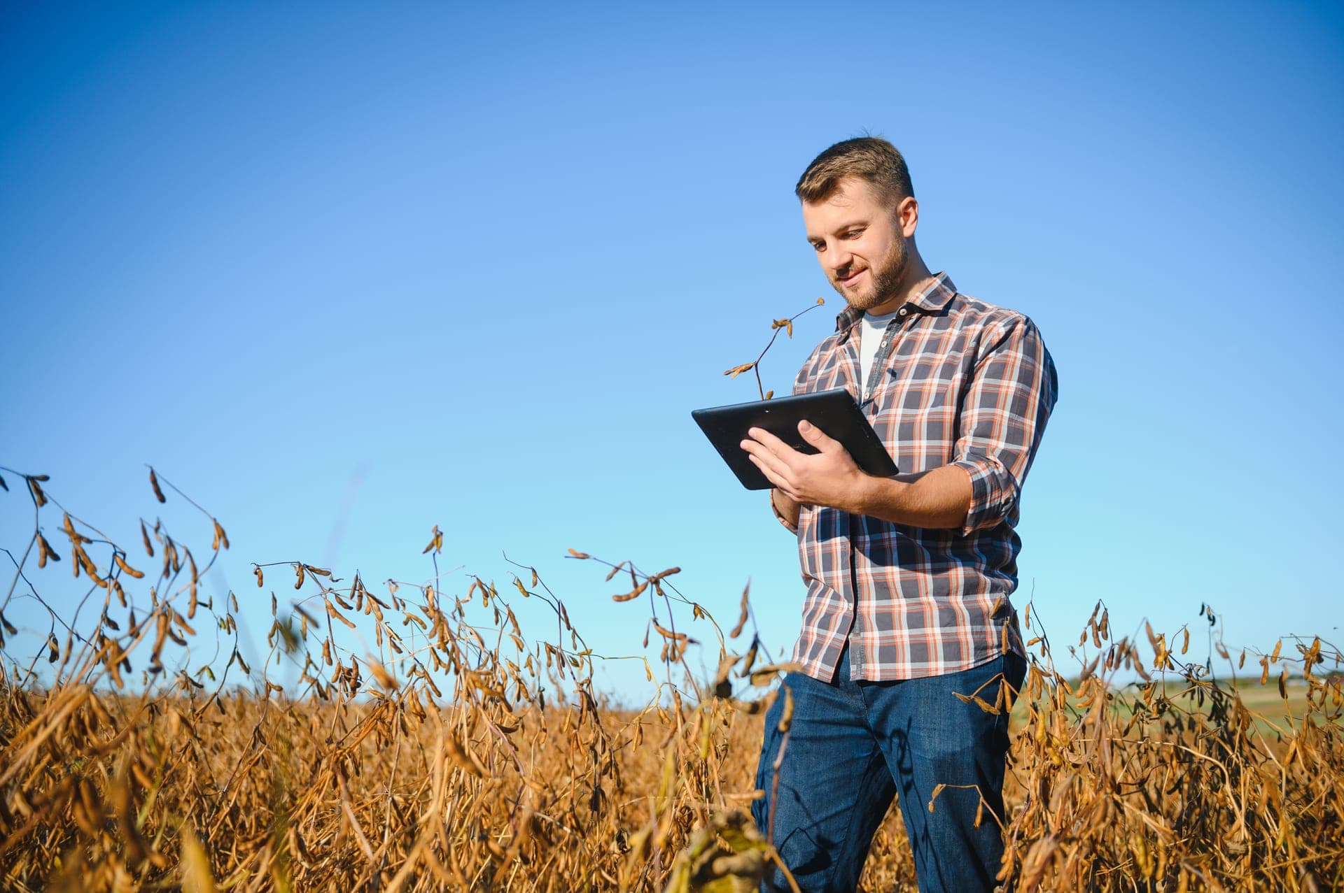 IA pour l’Agriculture : De la détection des maladies à l’optimisation des rendements