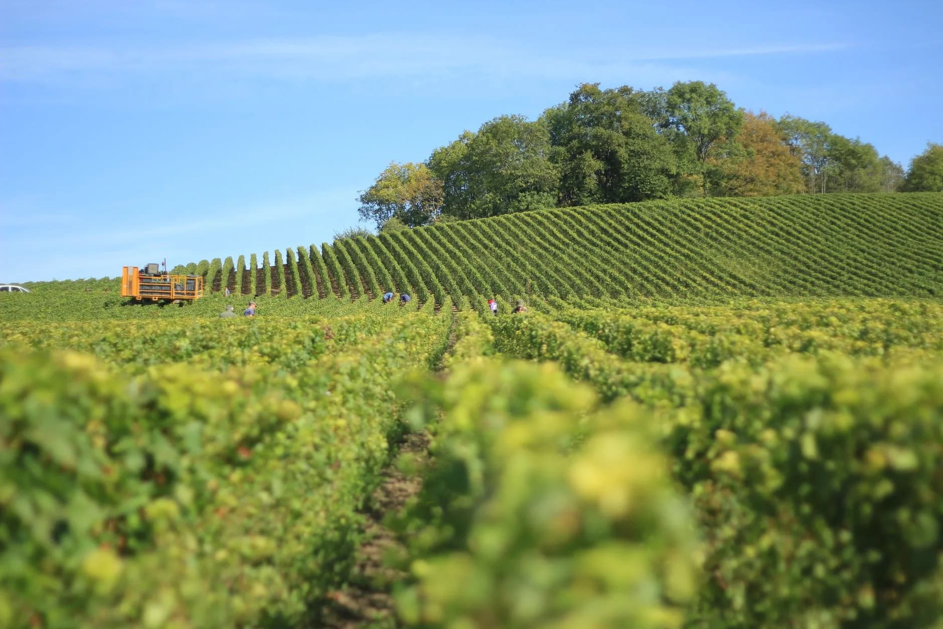 PME de Reims et de Champagne : 5 automatisations IA par secteur