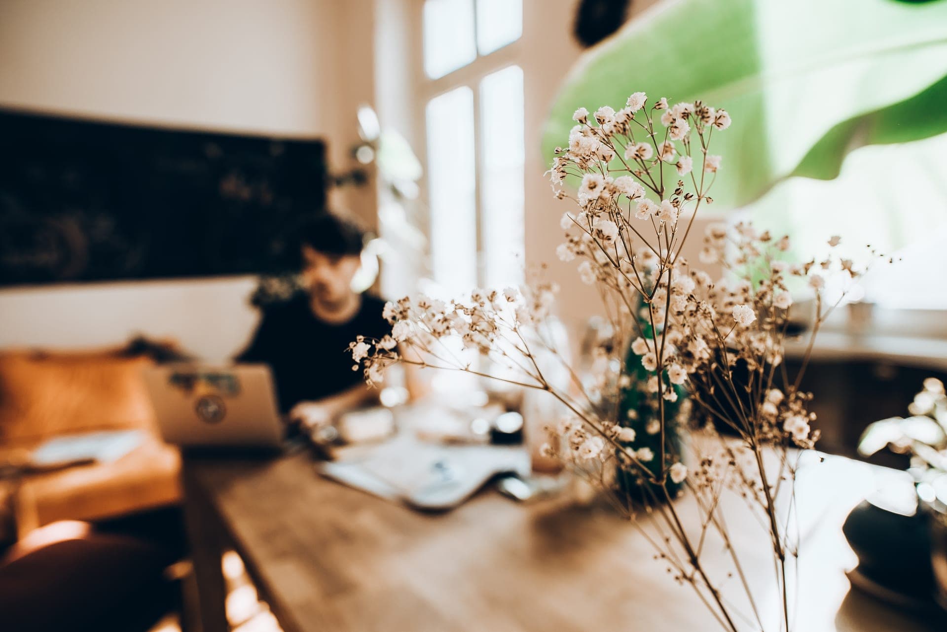 Espace de travail de l'équipe, tables en bois et lumière naturelle